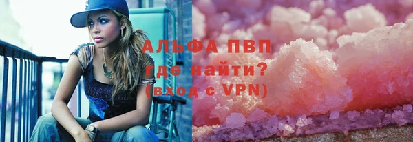 spice Аркадак