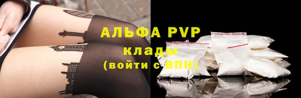 spice Аркадак