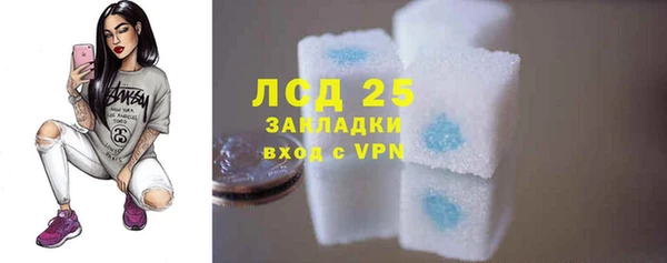 spice Аркадак