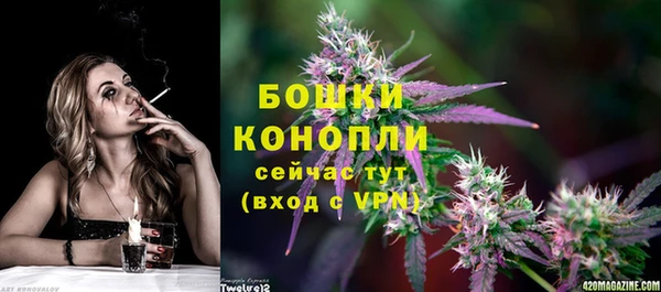 spice Аркадак