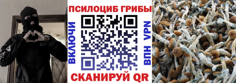 Галлюциногенные грибы Psilocybine cubensis  Чаплыгин 